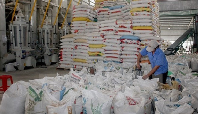 Chế biến gạo xuất khẩu. (Ảnh: Đình Huệ/TTXVN) 