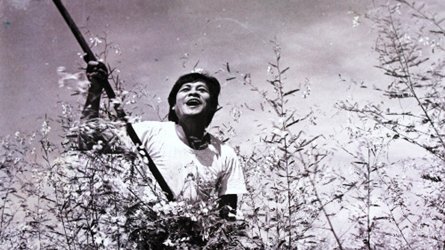 Ngoài thực tế, khung cảnh đẹp lãng mạn trong phim "Cánh đồng hoang" là đồng nước mênh mông đầy rác thải và xác động vật.