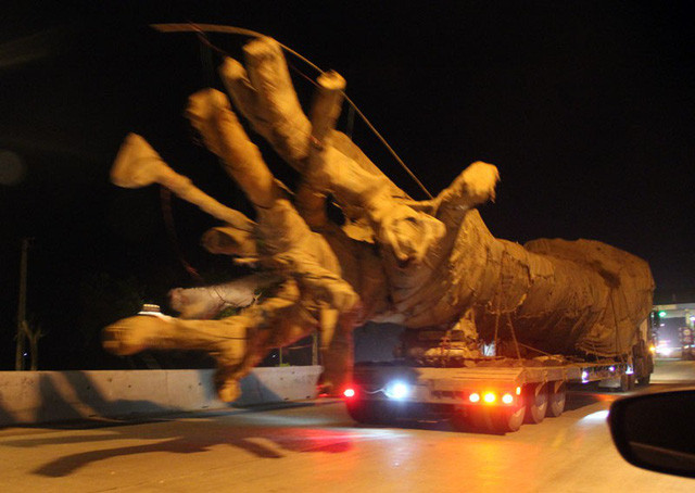 Thiếu tướng Nguyễn Hữu Dánh: 'Cây siêu khủng không phải của tôi'