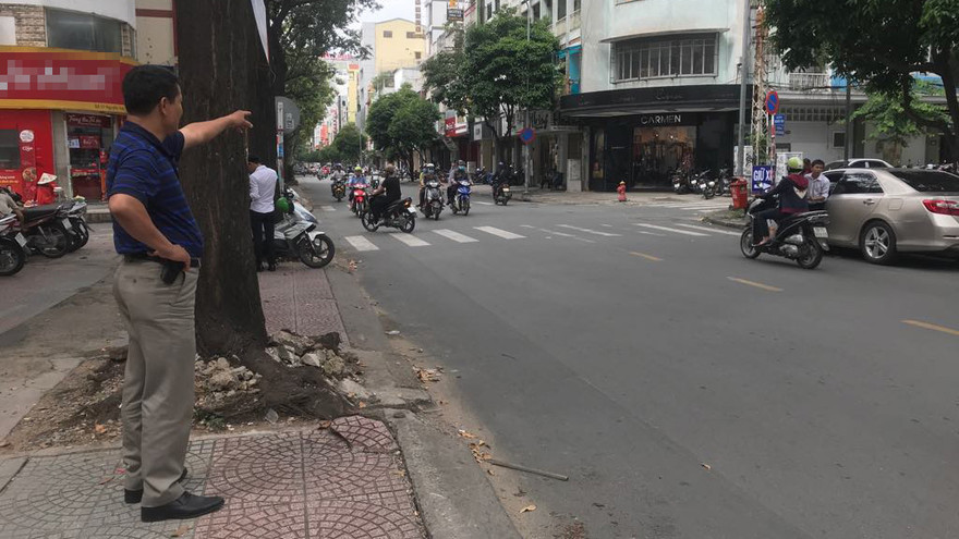 Anh V. chỉ nơi bị tên cướp giật chiếc túi xách.