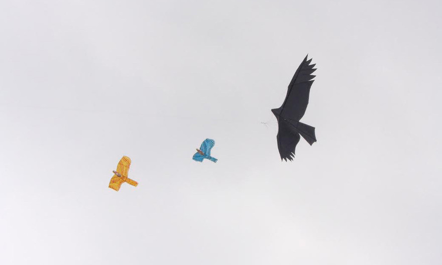 Ngẩn ngơ trước hàng trăm cánh diều đua sắc tại Festival Huế