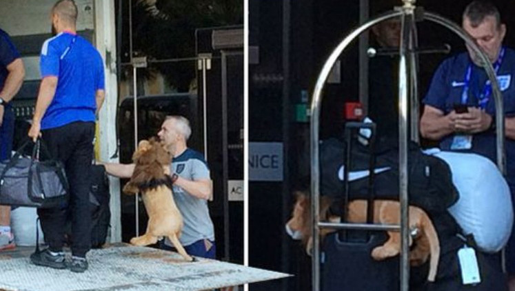 Tuyển Anh thua sốc, linh vật bị quẳng vào thùng xe tải