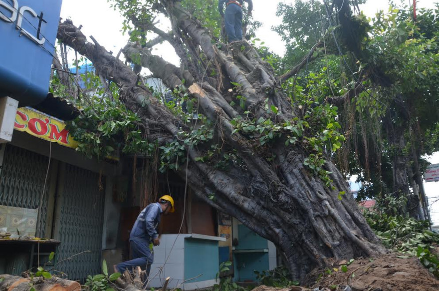 Hiện trường vụ việc