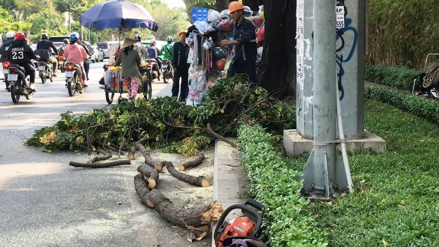 Hiện trường vụ việc.