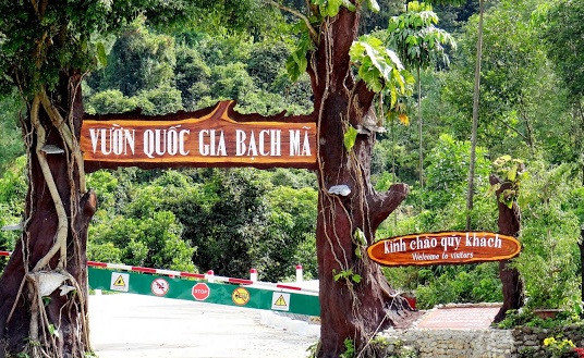 Bộ Xây dựng phản hồi ra sao về dự án cáp treo Bạch Mã?