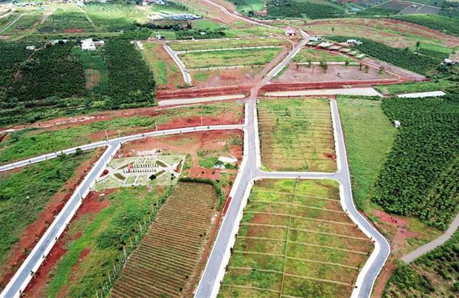 Một đồi chè ở Lâm Đồng bị ủi phẳng.