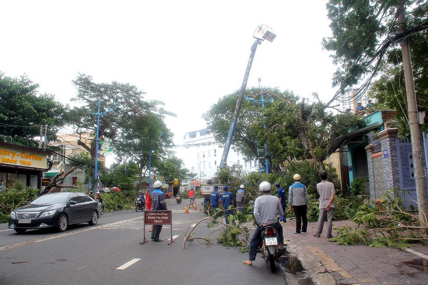 Vũng Tàu tất bật khắc phục hậu quả bão số 9