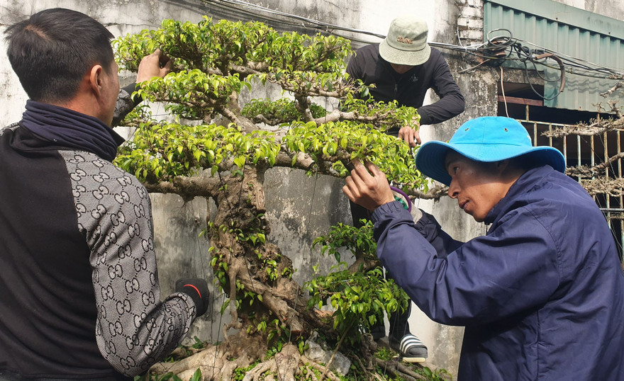 Ở nơi làm không hết việc, kiếm tiền dễ như nông dân