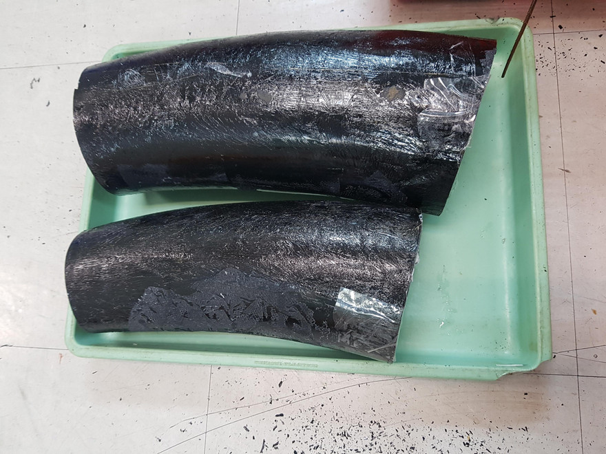 Hai chiếc ngà voi nặng gần 10kg nhập lậu vào Tân Sơn Nhất.