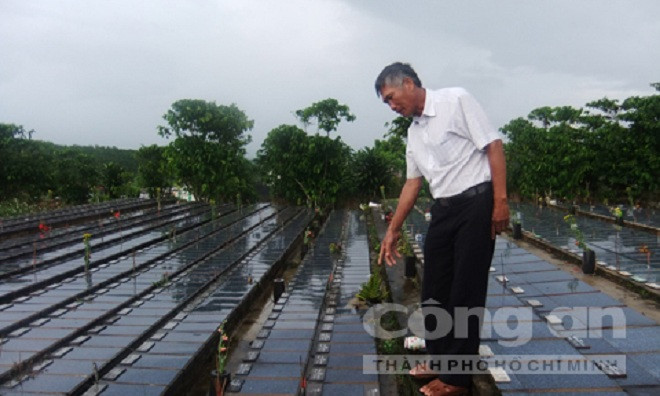 Ông Trần Đức Hoan, một trong những nhà từ tâm, tự nguyện