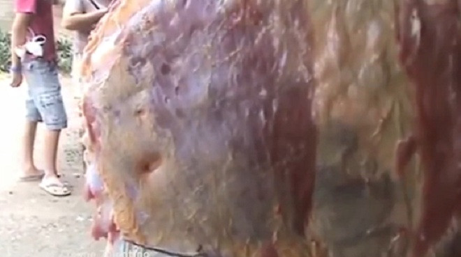 Clip miếng thịt bò treo ở chợ vẫn cử động