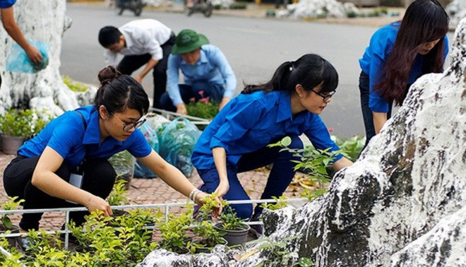 Tháng 4/2015, hàng trăm thanh niên tình nguyện của Thành đoàn Hà Nội ra quân trồng cây trang trí trên dọc tuyến đường Bà Triệu (Hoàn Kiếm, Hà Nội). Theo đó, các cây sẽ được quây rào cứng và trồng hoa phủ kín dưới gốc... ... biến phố Bà Triệu trở thành "tu