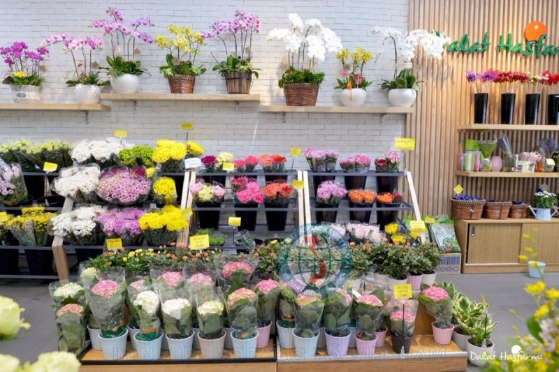 Nhiều phụ nữ từ chối nhận hoa để gửi ủng hộ người dân miền Trung.