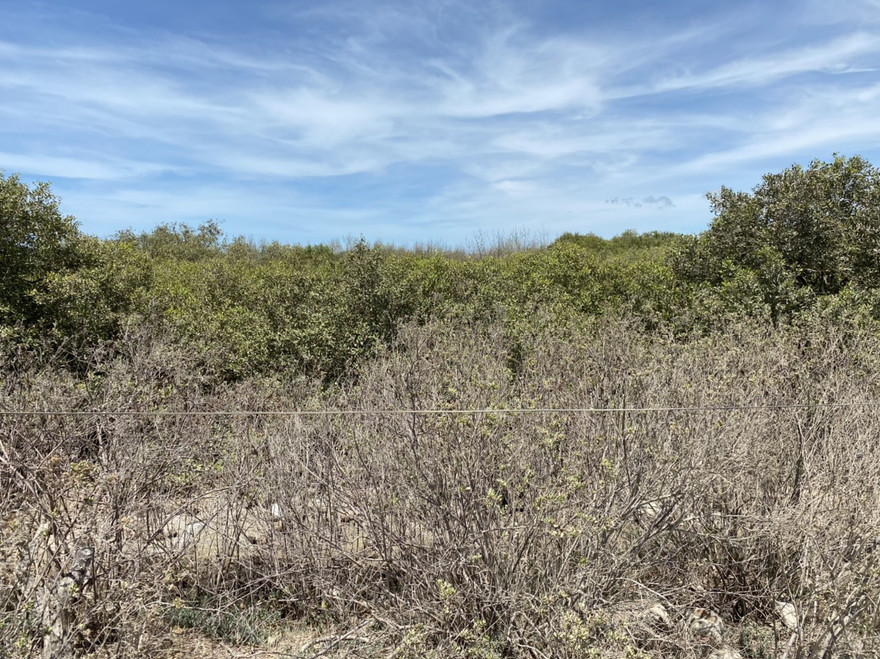 Khu đất khiếu nại bồi thường của cán bộ hưu trí Bà Rịa- Vũng Tàu. 