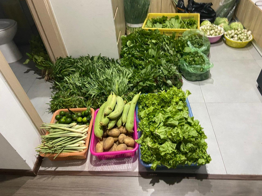 Rau xanh được ship đến chung cư ở Hà Nội tăng giá gấp đôi.