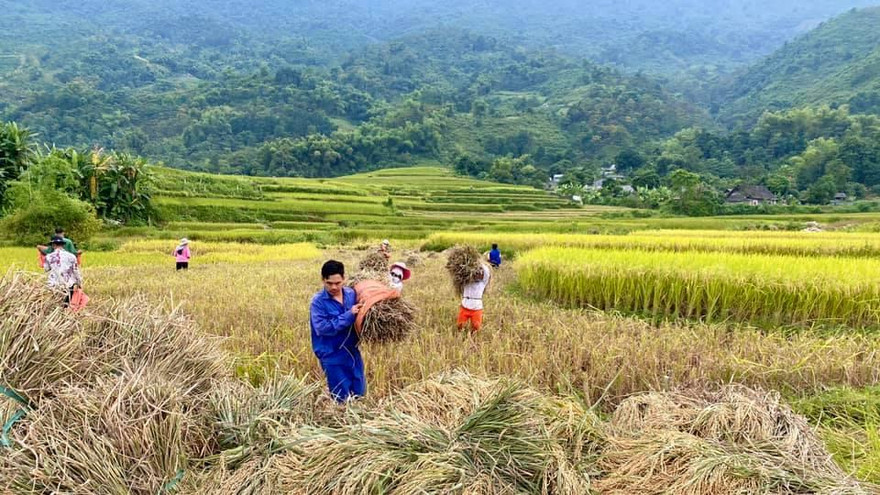 Du lịch Sa Pa hút khách sau khi địa phương bỏ test COVID-19.