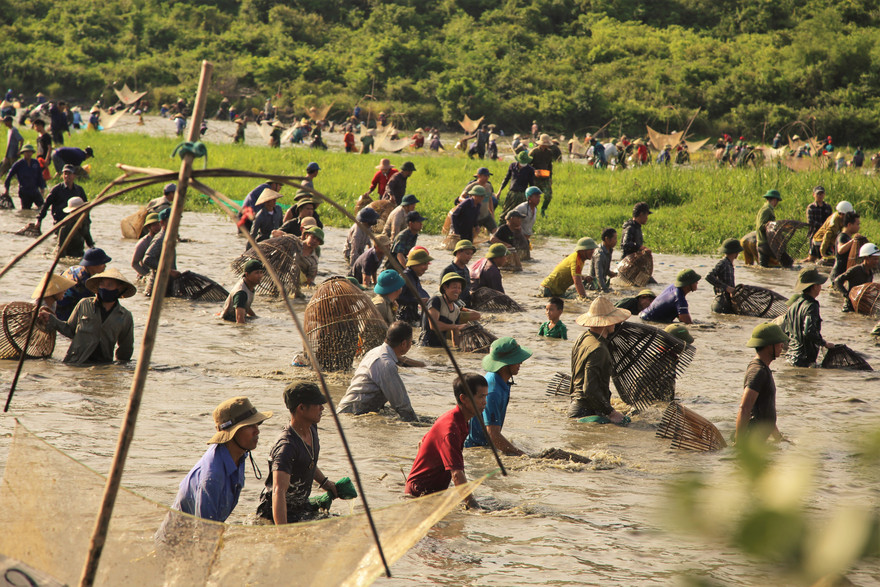 Sau tiếng hô lớn, hàng trăm người dân nhào xuống Đầm Vực bắt cá