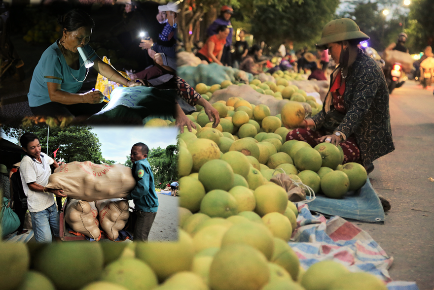 Bưởi đặc sản vào vụ, trăm người soi đèn thức trắng bán ở chợ đêm