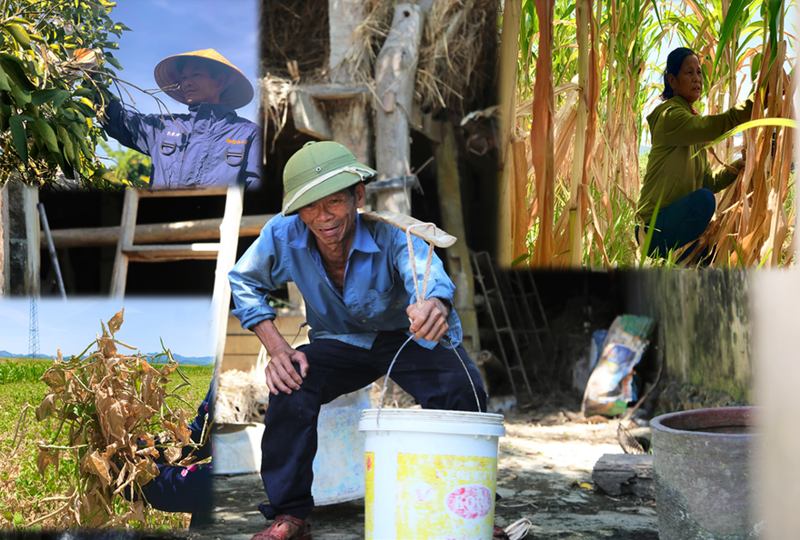 Dân vùng 'chảo lửa' méo mặt vì hàng ngàn ha hoa màu chết khô