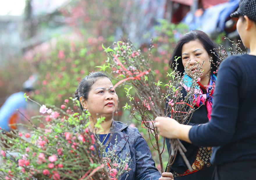Đào, quất, hoa ngập tràn phố trước rằm tháng Chạp