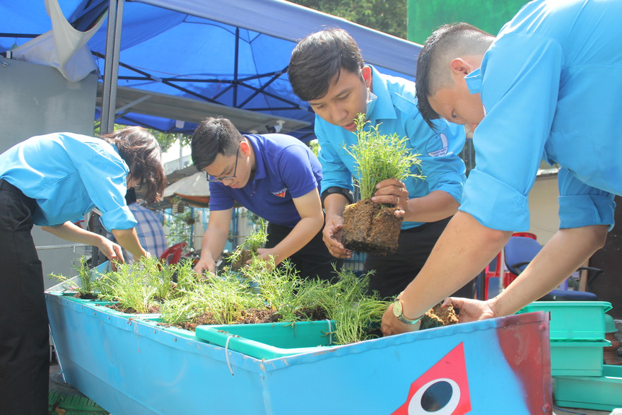 Bạn trẻ tạo mảng xanh mát lành từ công sở đến góc bếp