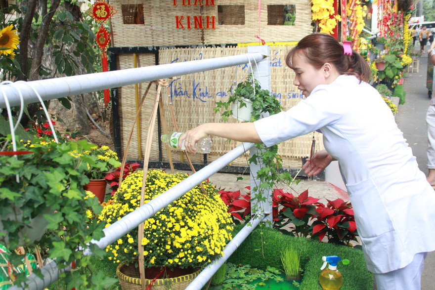 Đẹp mắt đường hoa xuân do các y, bác sỹ dày công chuẩn bị 