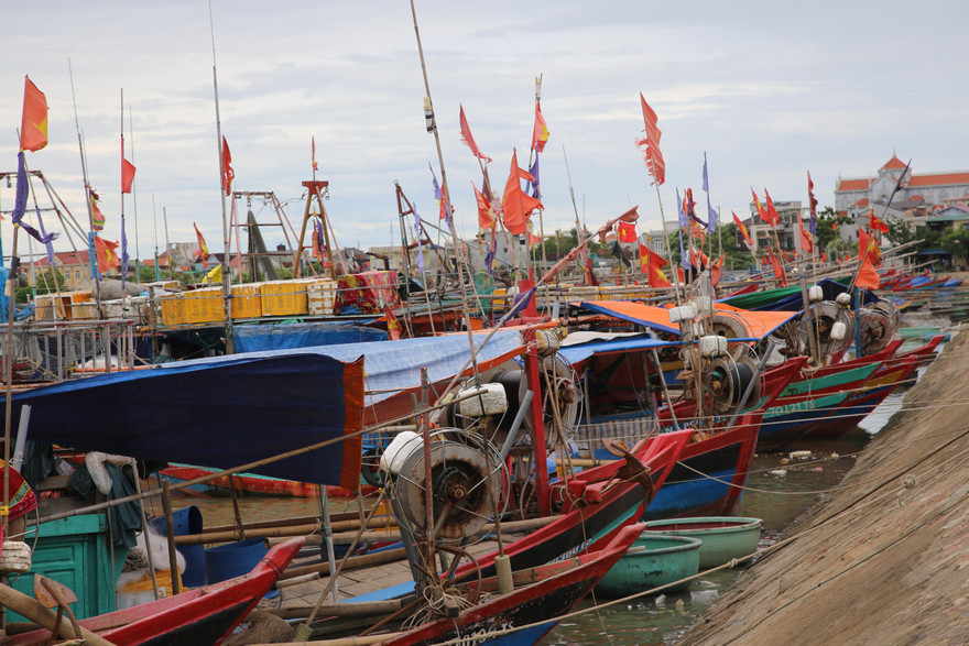 Phạt 7 ngư dân 35 triệu đồng do trốn khỏi vùng cách ly