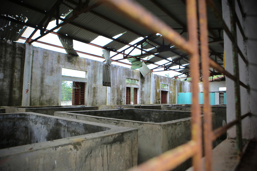 Trại nuôi giống hơn 8 tỷ đồng ở Hà Tĩnh hoang tàn, cỏ dại mọc tứ phía