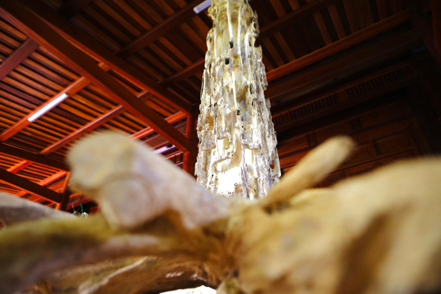 Đẽo gỗ săn trầm hương