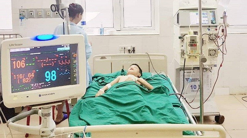 Bé 11 tuổi nguy kịch vì bị ong vò vẽ đốt 