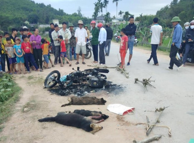 Khởi tố vụ án hai thanh niên nghi trộm chó bị đánh thương vong