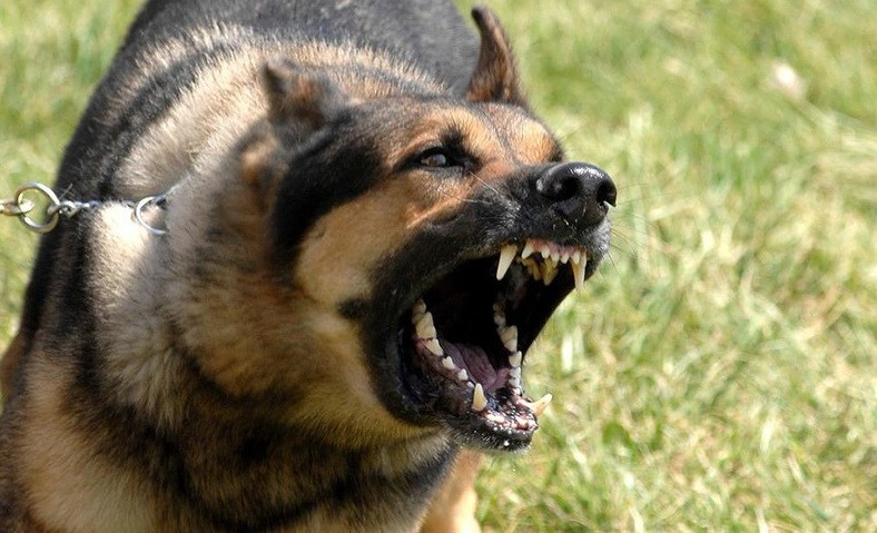 Ảnh minh họa: Internet