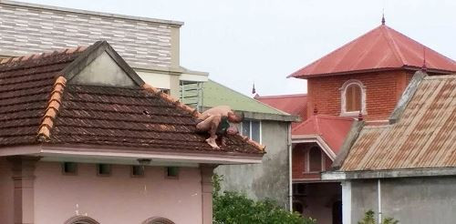 Kẻ ngáo đá thả con trai từ tầng ba xuống