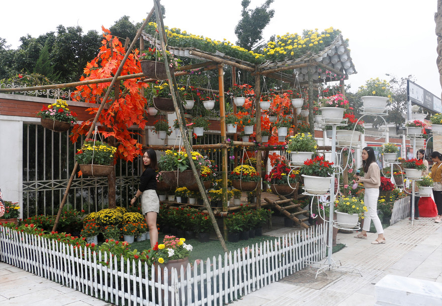 Rực rỡ đường hoa thành phố Vinh những ngày áp tết