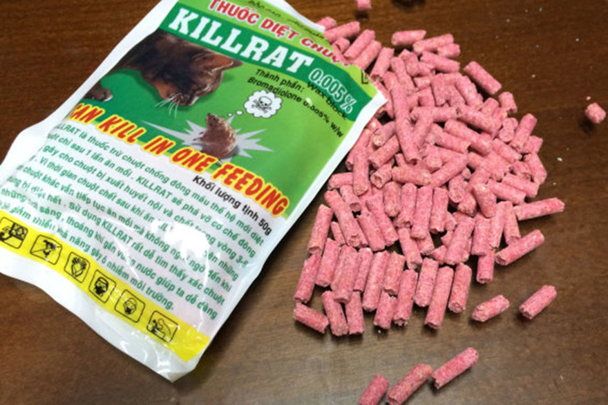 Ăn nhầm thuốc diệt chuột, em tử vong, anh nguy kịch