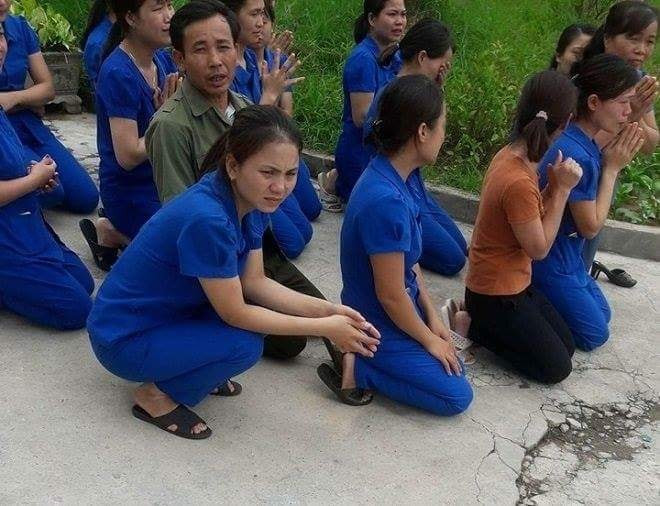 Họp khẩn, yêu cầu làm rõ vụ cô giáo mầm non quỳ xin quan chức