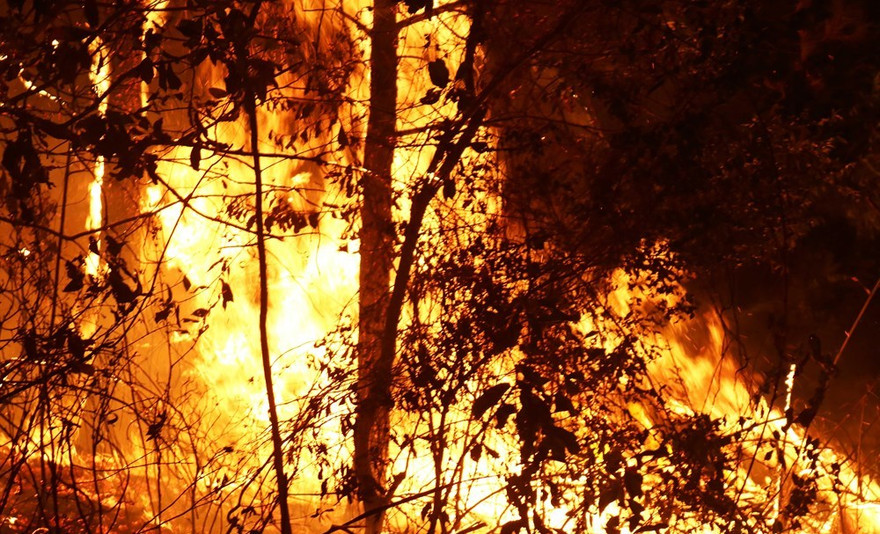 Hơn 1.000 người lên núi ở Nghệ An dập biển lửa