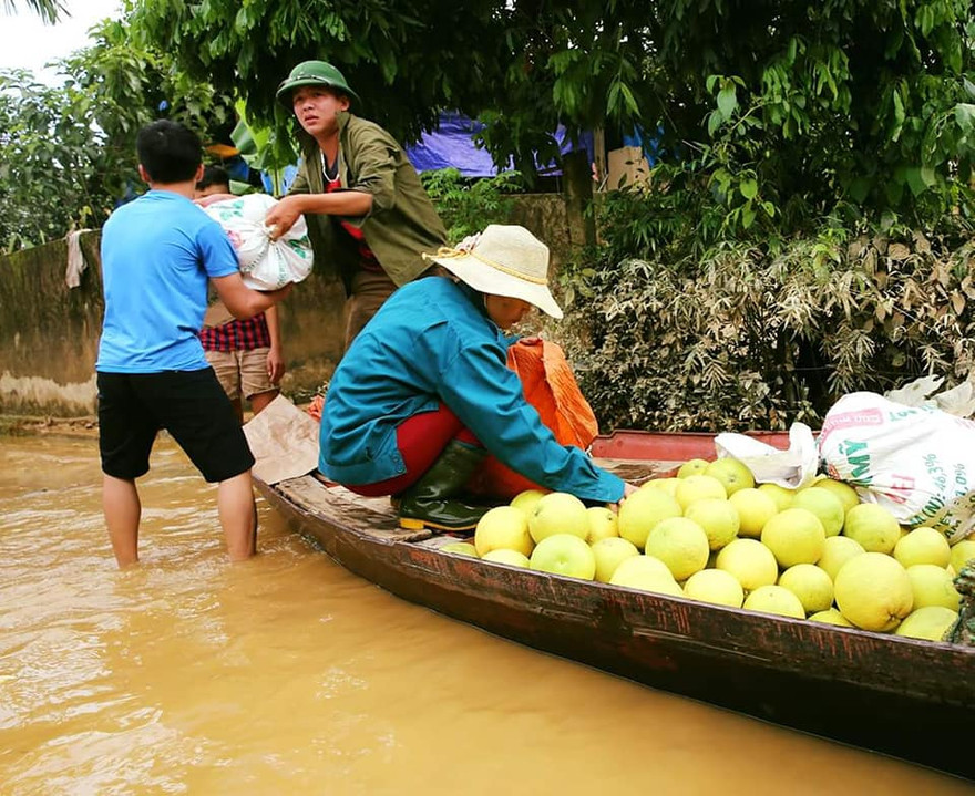 Mưa lũ khiến 5 người chết, người trồng bưởi đặc sản lo tổn thất trăm bề
