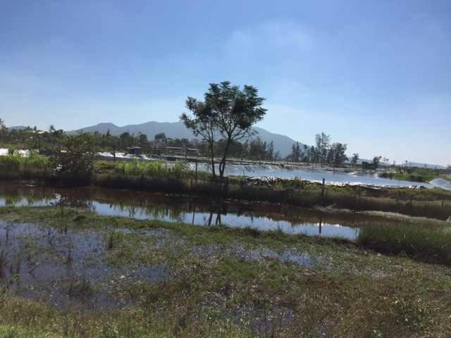 Doanh nghiệp khốn đốn vì chính quyền chậm bàn giao mặt bằng