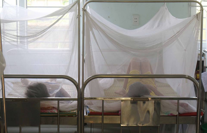 Nghệ An xuất hiện ổ dịch sốt xuất huyết