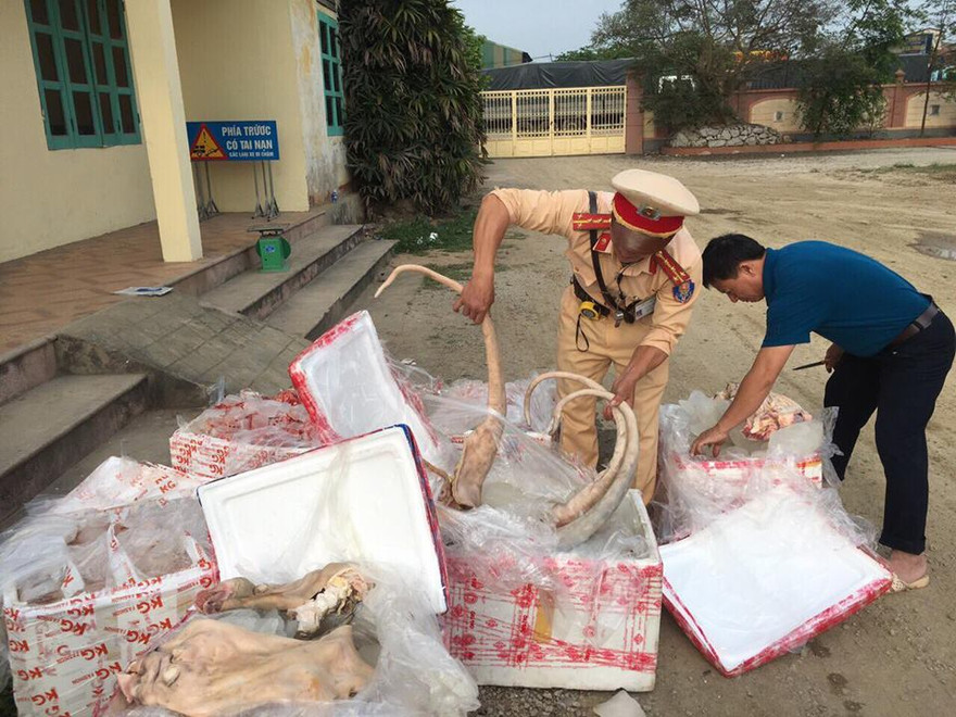 CSGT bắt giữ hàng tấn thịt, nội tạng thối