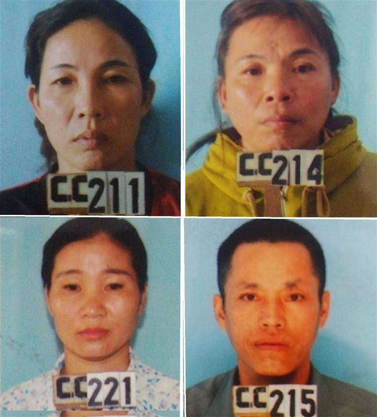 Tạm giữ 4 đối tượng chặt phá hàng ngàn cây keo chỉ để hả giận