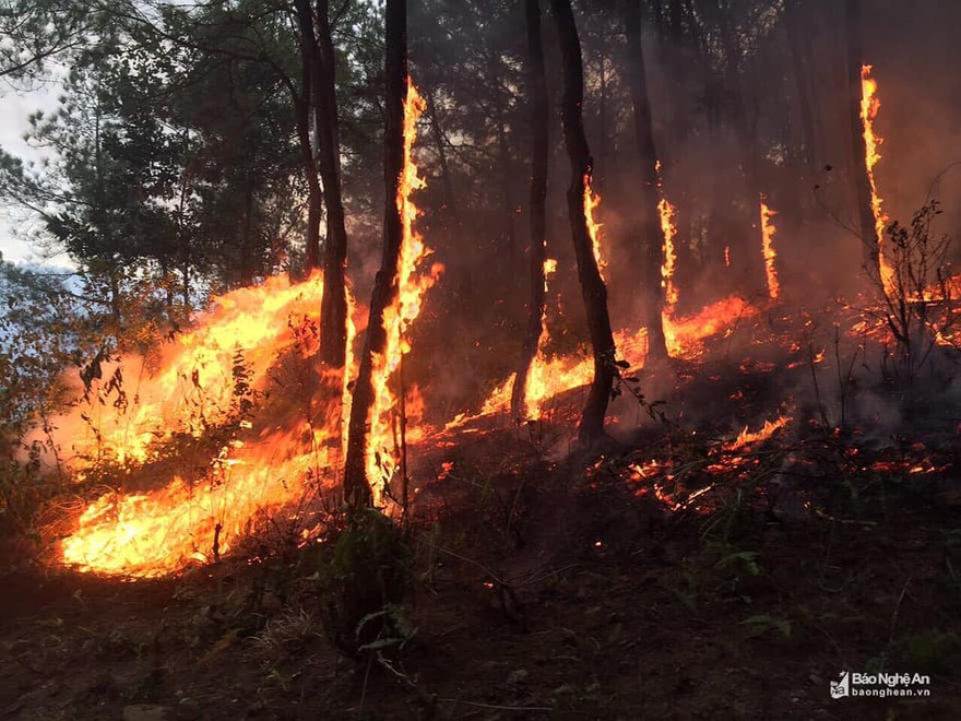 Người phụ nữ ngạt khói tử vong khi mang nước cho lực lượng cứu hỏa
