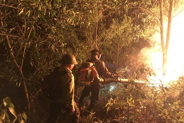 Rừng ở Nghệ An phát hỏa, hàng trăm người dập lửa trong đêm