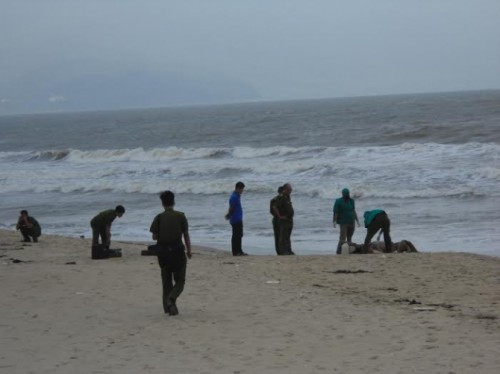 Đang đánh cá, ngư dân hoảng hồn phát hiện thi thể nổi trên mặt biển