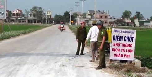 Nghệ An phát hiện ổ dịch tả lợn Châu Phi thứ 3