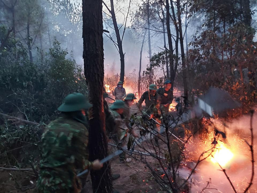 Bất cẩn khi đốt rác, người phụ nữ khiến rừng bị cháy dữ dội