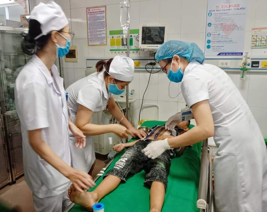 16 học sinh nhập viện vì bị ong trong sân trường tấn công