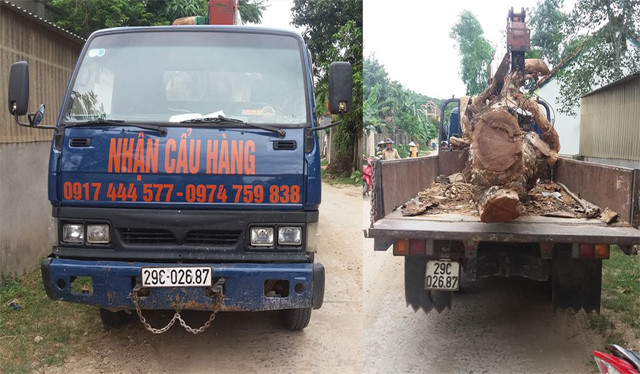 Chiếc xe cẩu và cây mít được ông Nam chặn lại