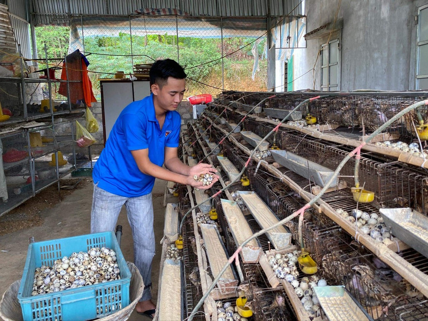 Nghị lực của chàng thanh niên mồ côi thu nhập trăm triệu đồng mỗi tháng